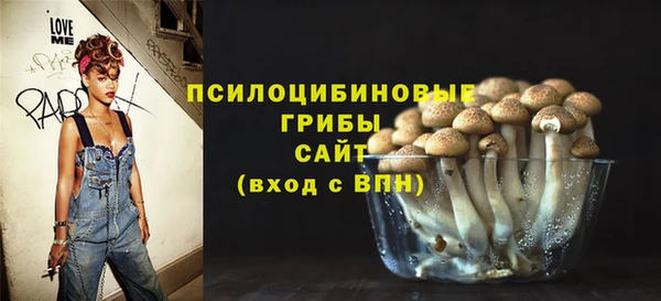 ПСИЛОЦИБИНОВЫЕ ГРИБЫ Семикаракорск